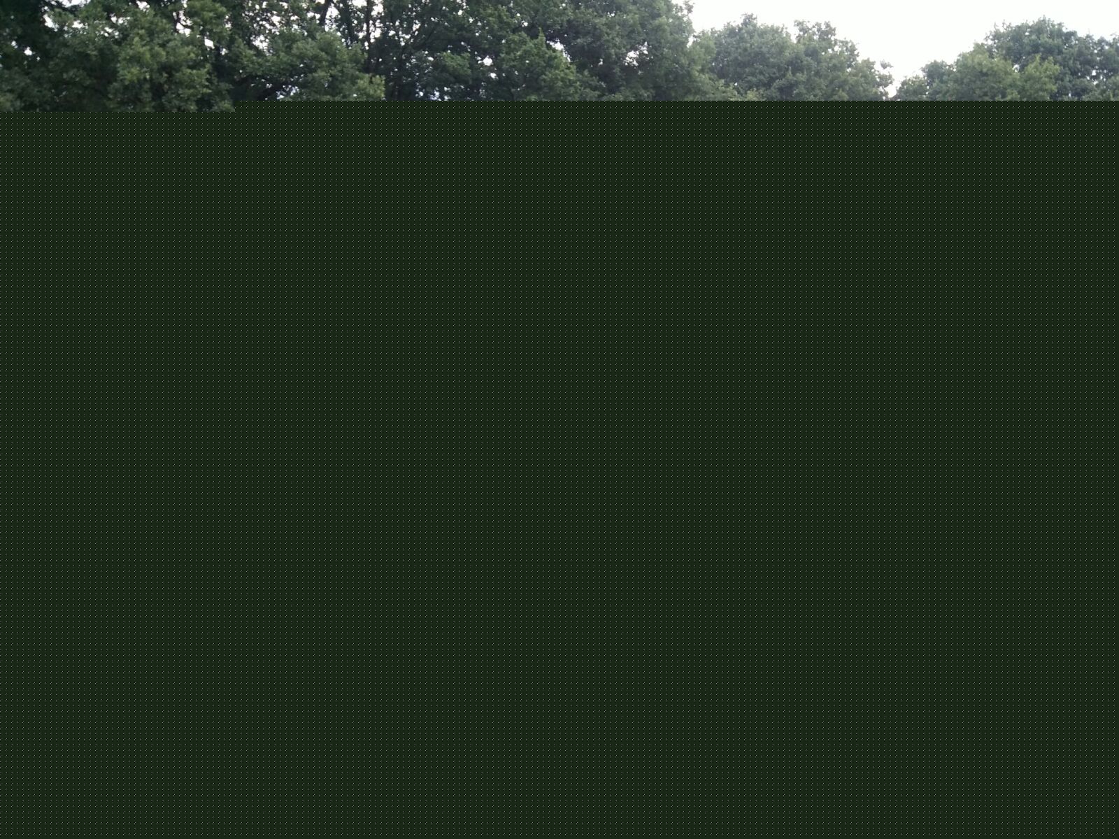 2016-08-28-PHOTO-00000029