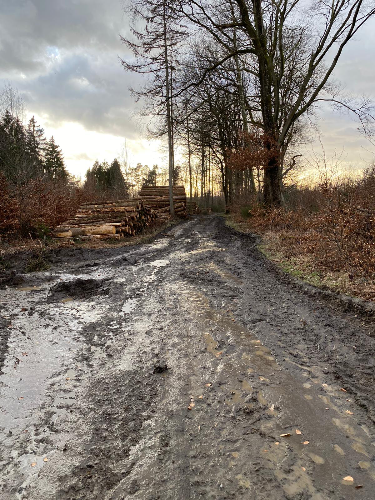 2021 Winterlaufserie Schwelm B